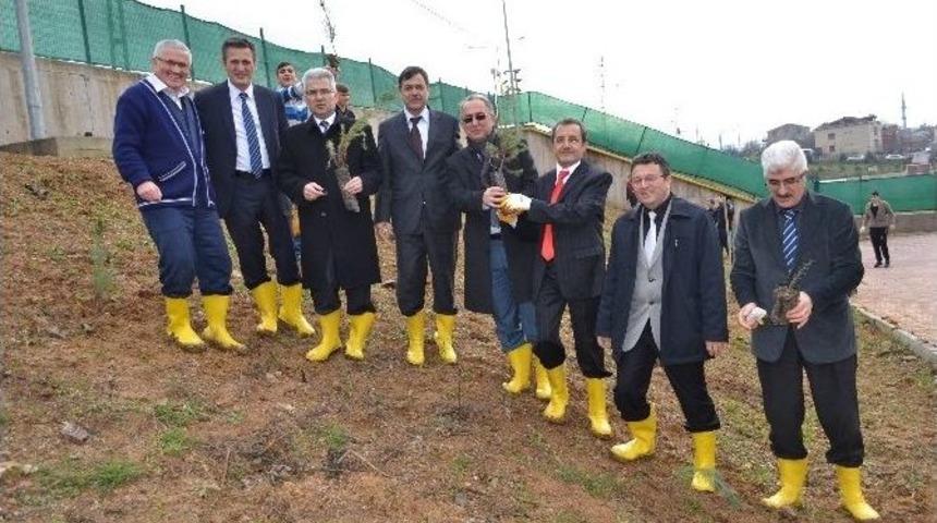 Hükümlü Çocuklar, Fidanları Toprakla Buluşturdu