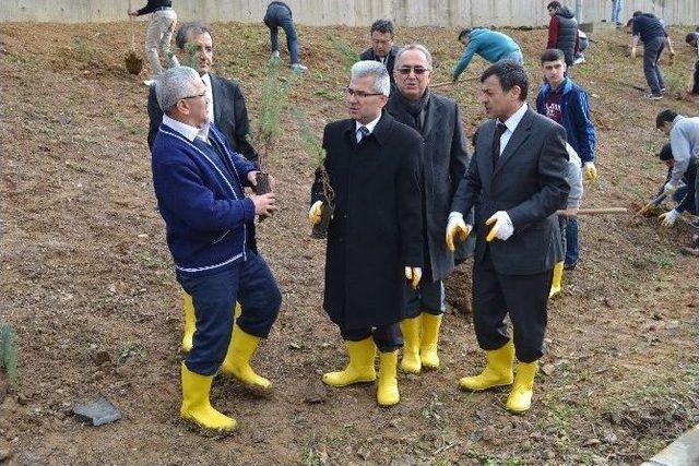 Hükümlü Çocuklar, Fidanları Toprakla Buluşturdu