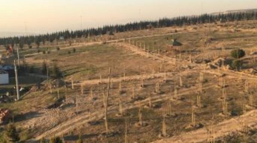 Bayraktepe Parkında &Ccedil;alışmalarında Sona Doğru