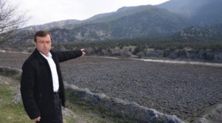 Ormanlık Alanda Erkek Cesedi Bulundu