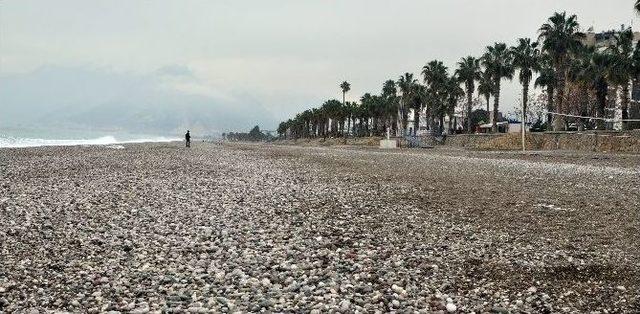 Antalya’da Sahiller Balık Tutanlara Kaldı