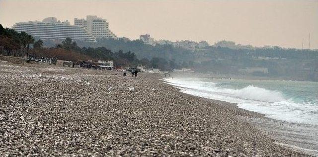 Antalya’da Sahiller Balık Tutanlara Kaldı