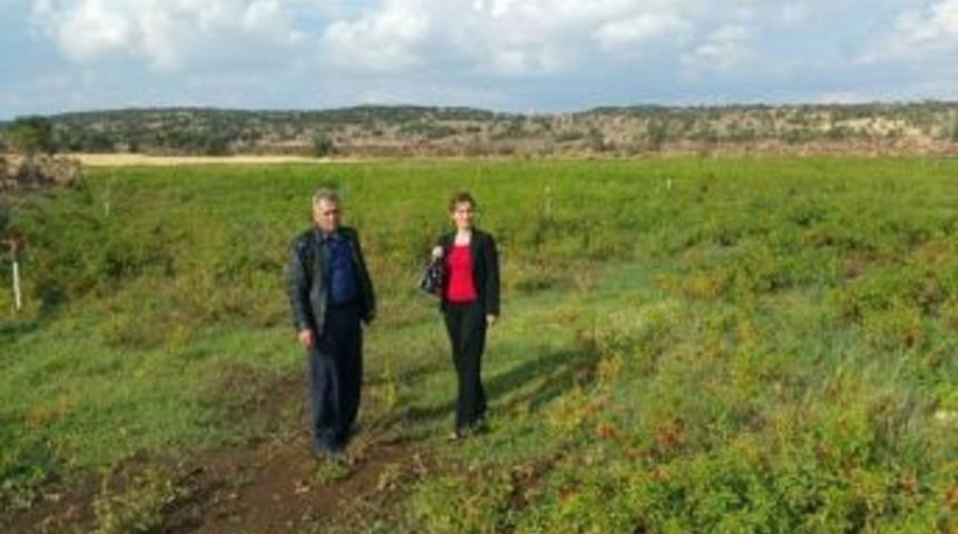 Tarla Faresiyle M&uuml;cadelede &Ouml;nemli Uyarılar