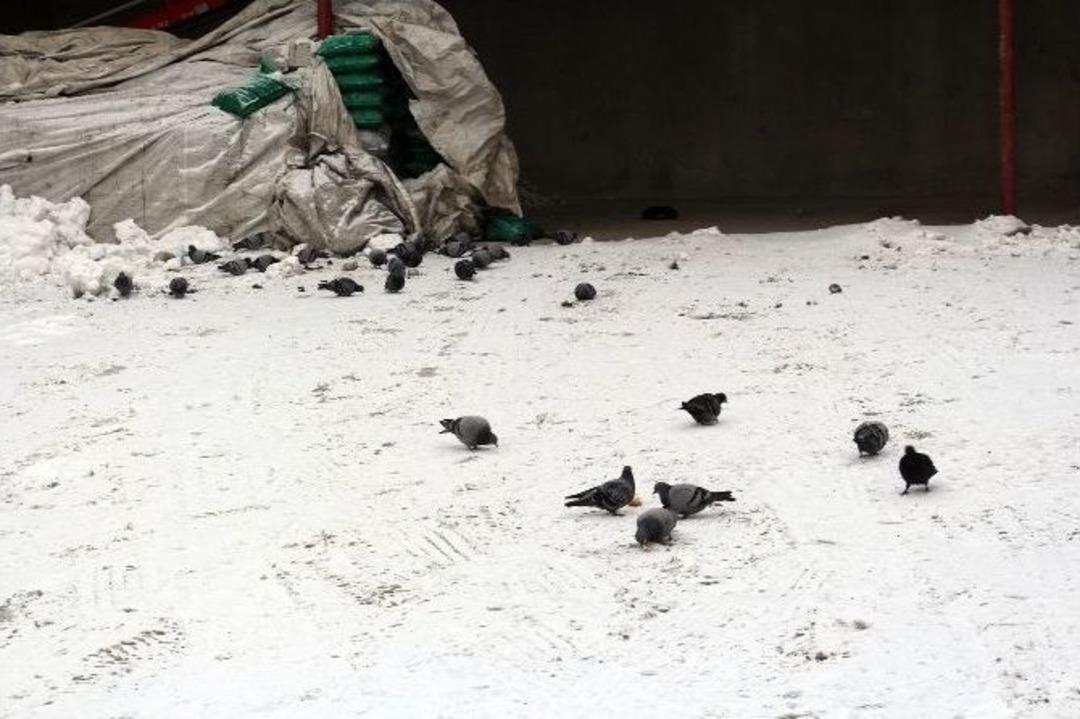 Ağrı&rsquo;da Dondurucu Soğuklar