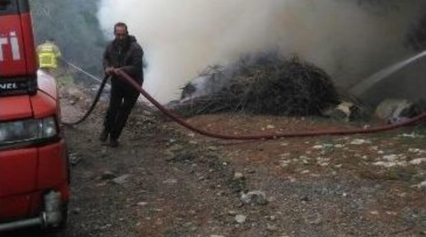 Milli Parkta Korkutan Yangın