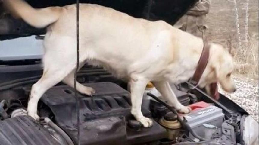 Otomobilde 674 Gram Esrar Ele Ge&ccedil;irildi