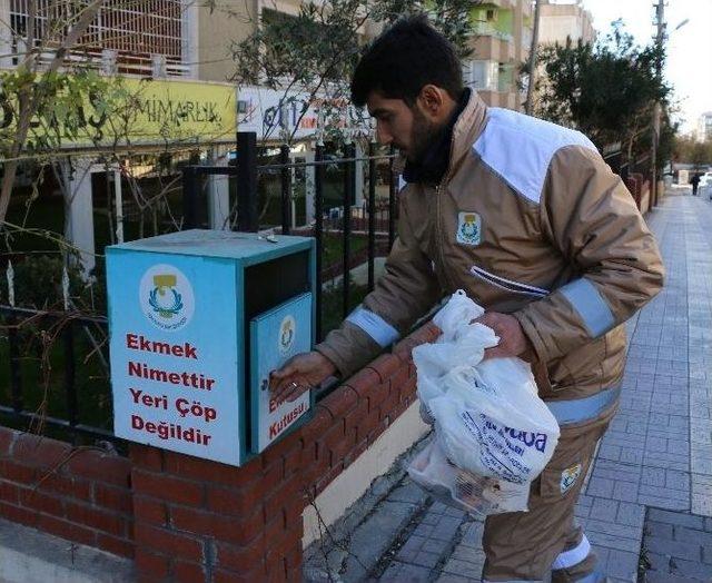 Haliliye’de Günlük 1 Ton Ekmek İsrafının Önüne Geçiliyor