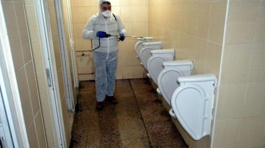 Karab&uuml;k&rsquo;te Domuz Gribi &Ouml;nlemleri