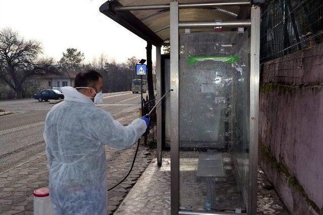 Karabük’te Domuz Gribi Önlemleri