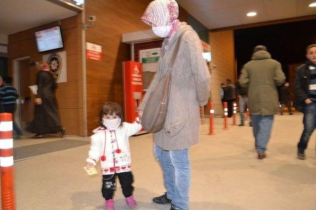 İneg&ouml;l&rsquo;de Domuz Gribi Ş&uuml;phesi 1