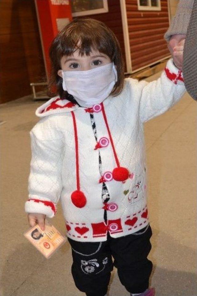 İneg&ouml;l&rsquo;de Domuz Gribi Ş&uuml;phesi 2