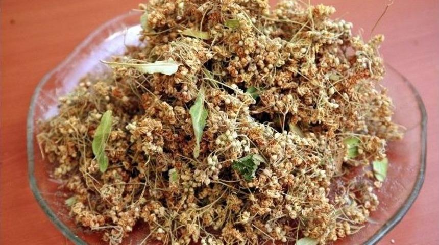 Kağıt &Uuml;r&uuml;nleri Ve Mobilya İhracatı Y&uuml;zleri G&uuml;ld&uuml;rd&uuml;