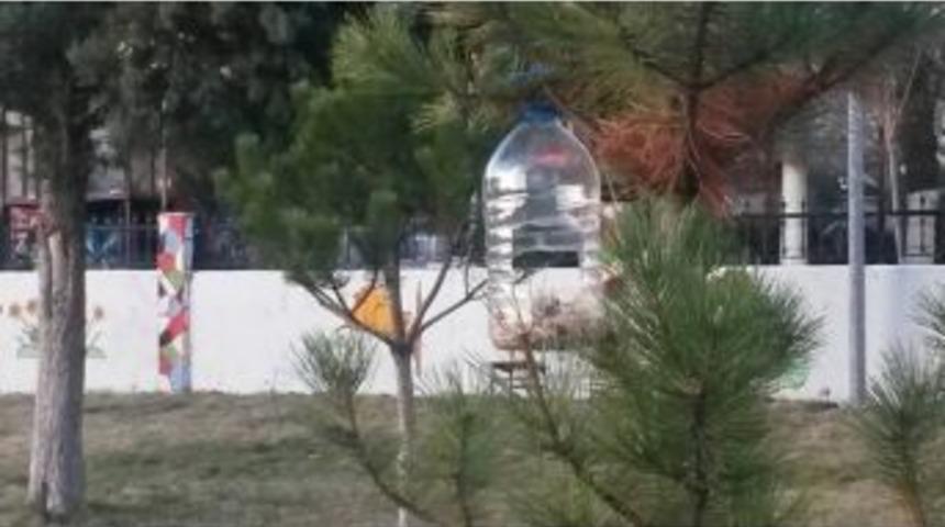 Derek&ouml;y Ortaokulu&rsquo;ndan &Ouml;rnek Davranış