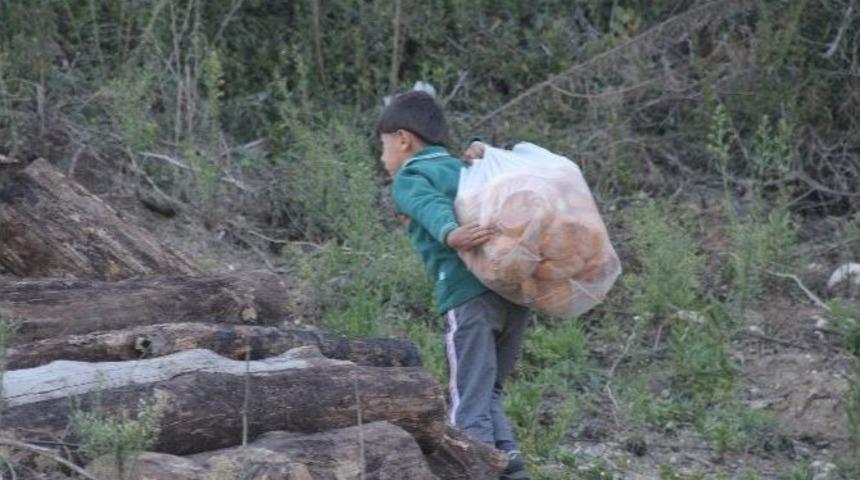 Bayırbucak T&uuml;rkmenlerine Yardımlar S&uuml;r&uuml;yor