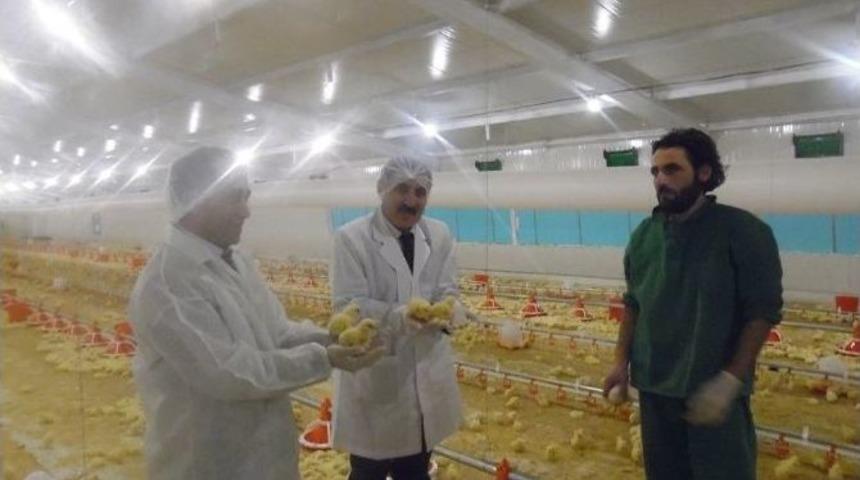 Tunceli&rsquo;de 2 Milyonluk Tesislerin Yapımı Tamamlandı