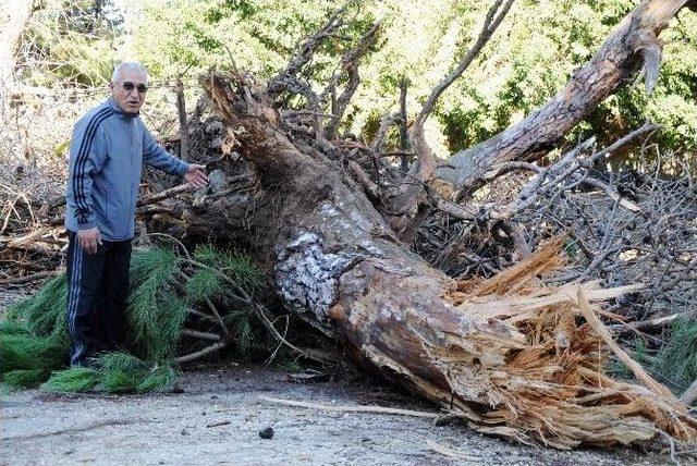 Mersin’deki Hortum Paniği Kamerada