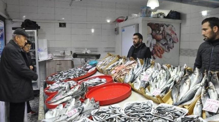 Havalar Isındı, Balık Azaldı