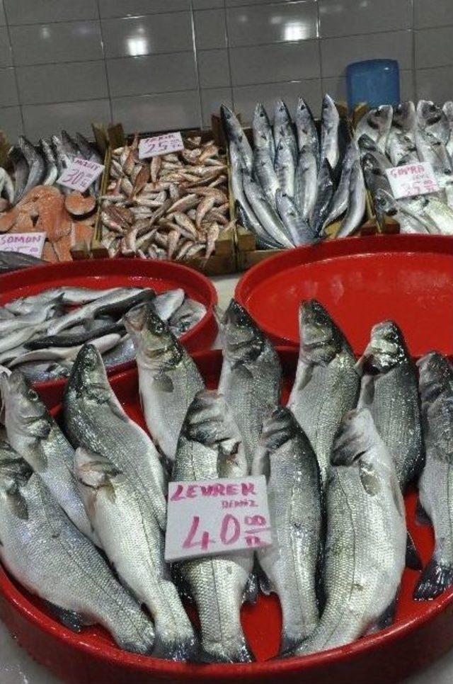 Havalar Isındı, Balık Azaldı