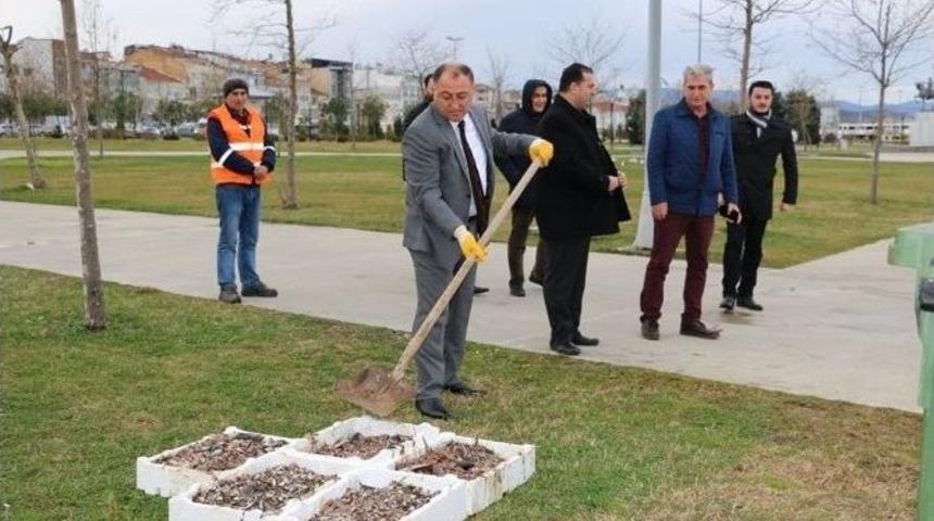 Yalova&rsquo;da Balık Artıkları Martılara Yem Oluyor