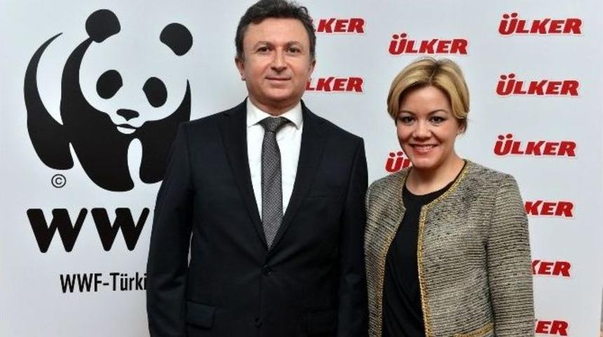 Wwf-t&uuml;rkiye Ve &Uuml;lker Fındığın Geleceği İ&ccedil;in &Ccedil;alıştay Yaptı