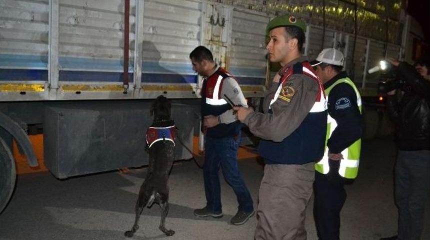 Jandarma Kuş U&ccedil;urtmuyor