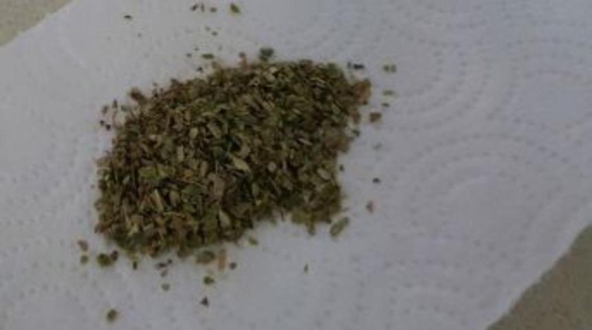 Alaplı&rsquo;da Uyuşturucu Operasyonu