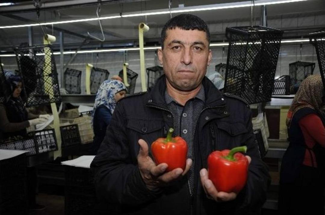 Antalya,turizmden Sonra Tarımda Da &Uuml;midini Irak Ve Suudi Arabistan&rsquo;a Bağladı