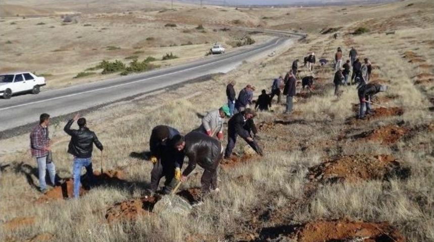 Doğanşehir&rsquo;de 200 Orman İş&ccedil;isi Kazma Bıraktı