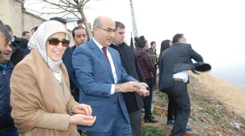 Daha Yeşil Bir Adıyaman İ&ccedil;in Tohum Topları Doğaya Bırakıldı