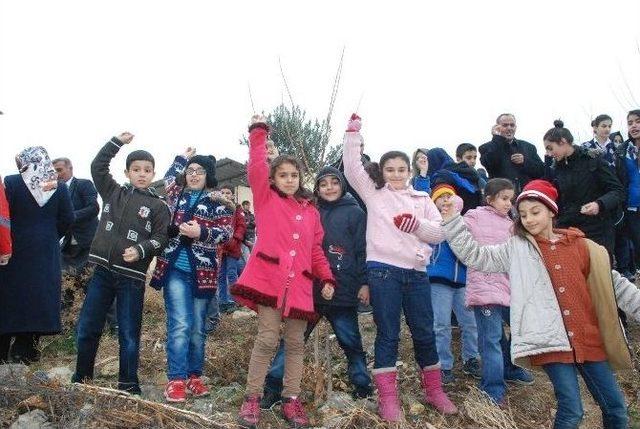 Daha Yeşil Bir Adıyaman İçin Tohum Topları Doğaya Bırakıldı