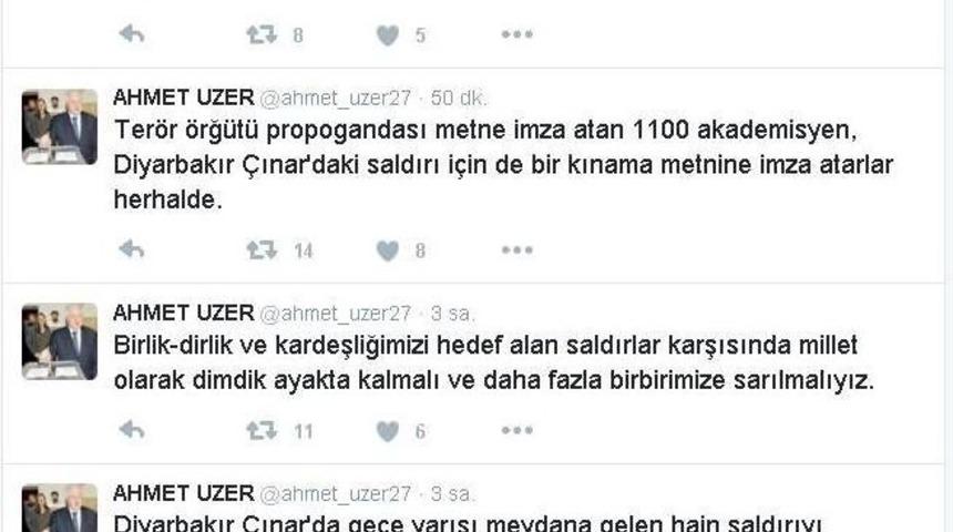 Ak Partili Vekilden &Ccedil;ınar İ&ccedil;in Akademisyenlere İmza &Ccedil;ağrısı