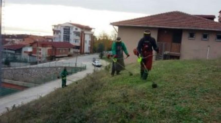 İzmit&rsquo;te 2 Bin Ağa&ccedil; Budandı