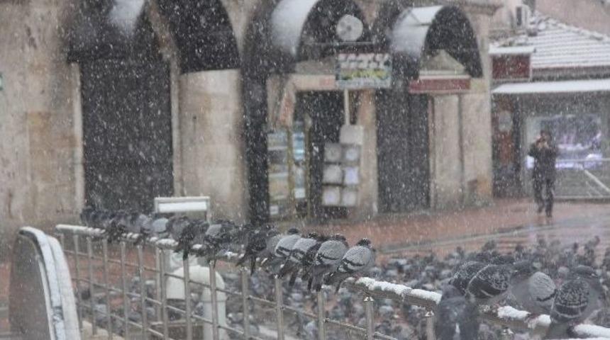 Bolu&rsquo;da Kar Yağışı Etkili Oldu