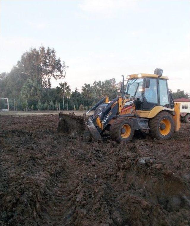 Dev Balina Yavrusu Kemiklerinin Sergilenmesi İçin Gömüldü