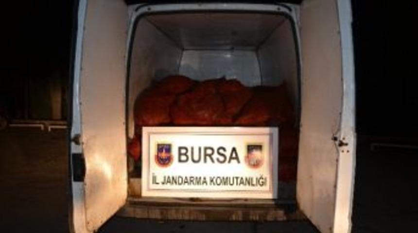 Ka&ccedil;ak Midyeye Ge&ccedil;it Yok