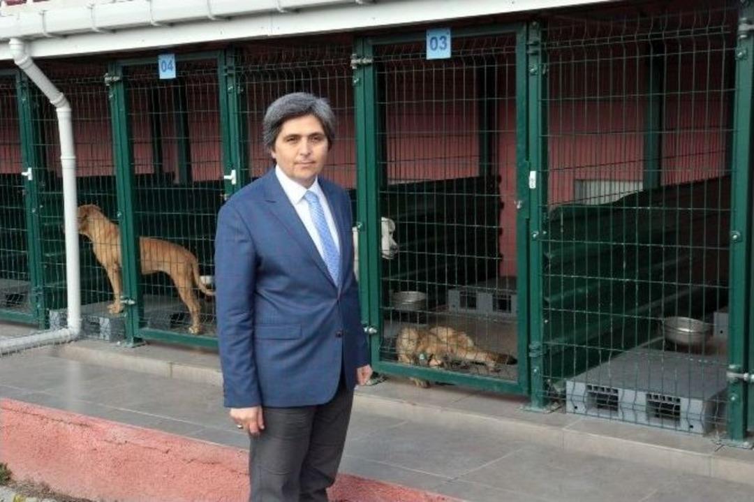 Hayvanlar, Yerden Isıtmalı Sistemle Soğuktan Korunuyor