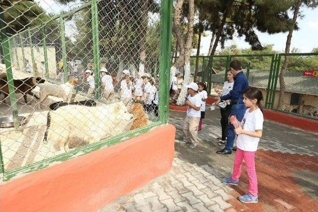 5 Bin 78 Sokak Köpeğinin Tedavi Ve Bakımı Yapıldı