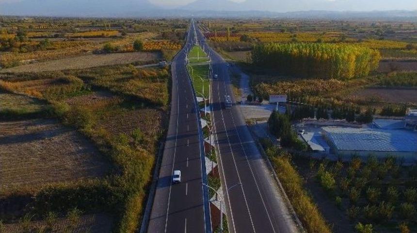 Pamukkale Yolu Palmiyeler İle Donatıldı