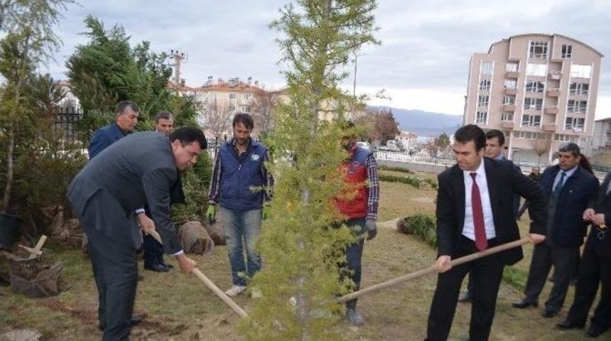Adliye Personelinin Dikili Ağacı Oldu