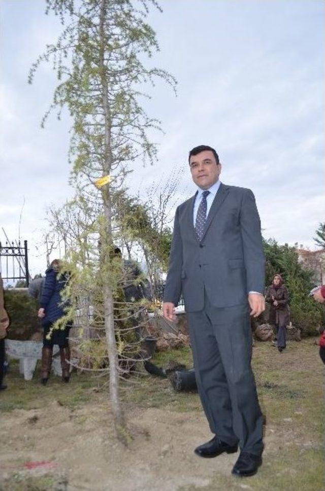 Adliye Personelinin Dikili Ağacı Oldu