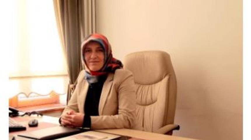 Sınavlara Hazırlıkta Samek Kolaylığı