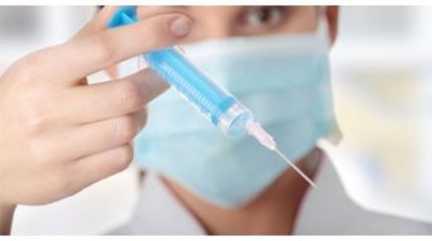 Prof. Dr. Ulutin: &ldquo;domuz Gribi Paniğe Yol A&ccedil;mamalı&rdquo;