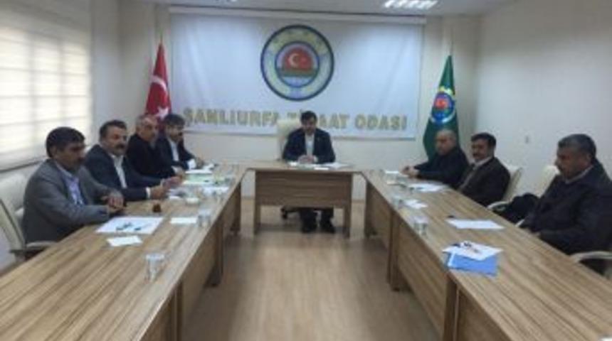 Şanlıurfa Ziraat Odası Bakan &Ccedil;elik&rsquo;e Sunulmak &Uuml;zere &Ccedil;ift&ccedil;i Sorunlarını Raporlaştırdı