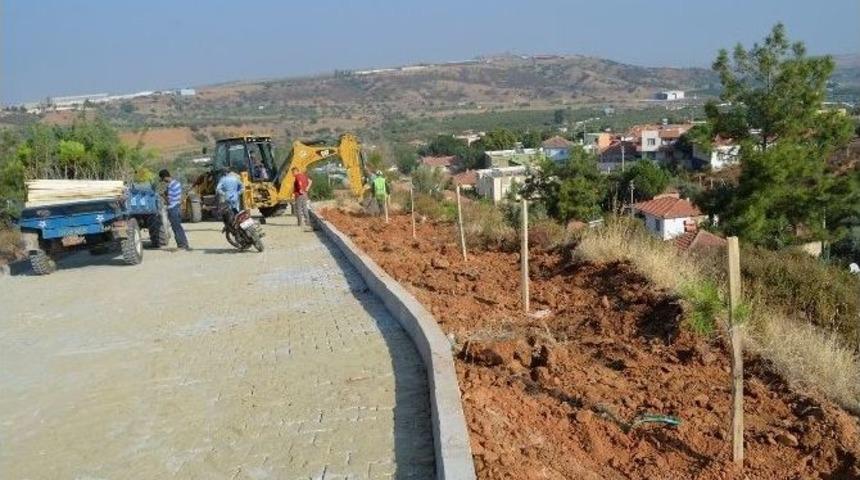 Binlerce Fidan Toprakla Buluşuyor