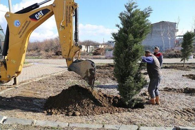 Binlerce Fidan Toprakla Buluşuyor