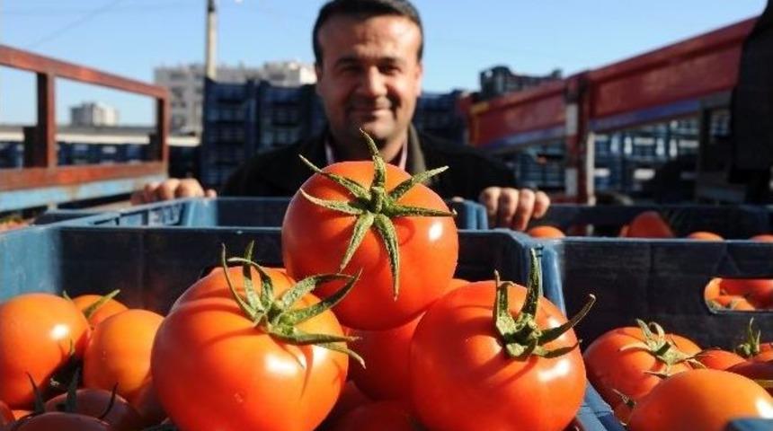 Domates Dalından Tezgaha D&ouml;rt Kat Pahalıya Ulaşıyor