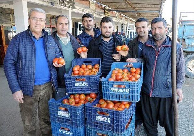 Domates Dalından Tezgaha Dört Kat Pahalıya Ulaşıyor