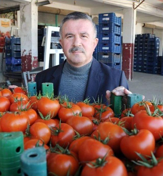 Domates Dalından Tezgaha Dört Kat Pahalıya Ulaşıyor