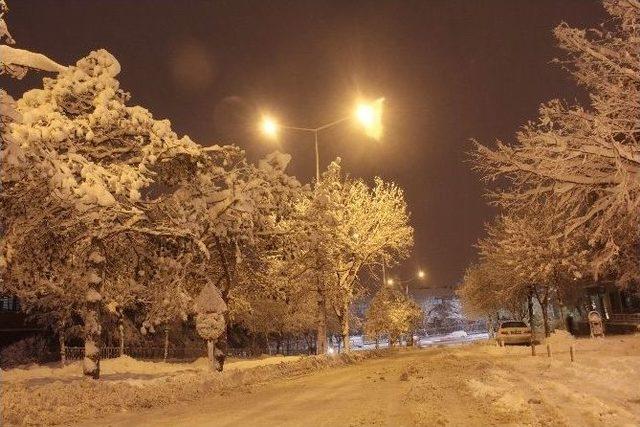 Doğu Anadolu’da Kar Esareti