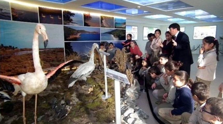 &Ccedil;ocuklar, Doğayı G&ouml;rerek &Ouml;ğreniyor